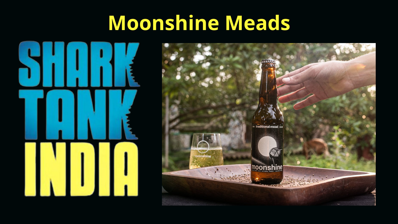 shark tank india moonshine meads